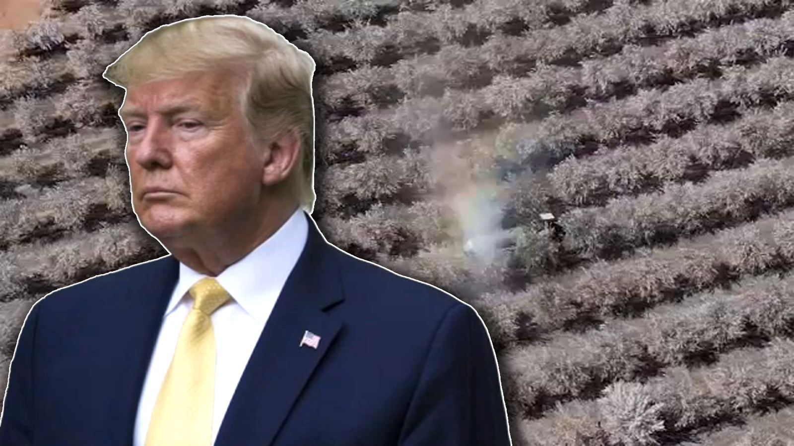 Pause on federal reimbursements is impacting Central California farmers