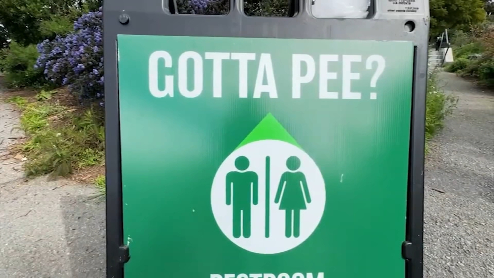 public pee Does San Francisco have a public urination problem? Here's how the city is  addressing the issue - ABC7 San Francisco