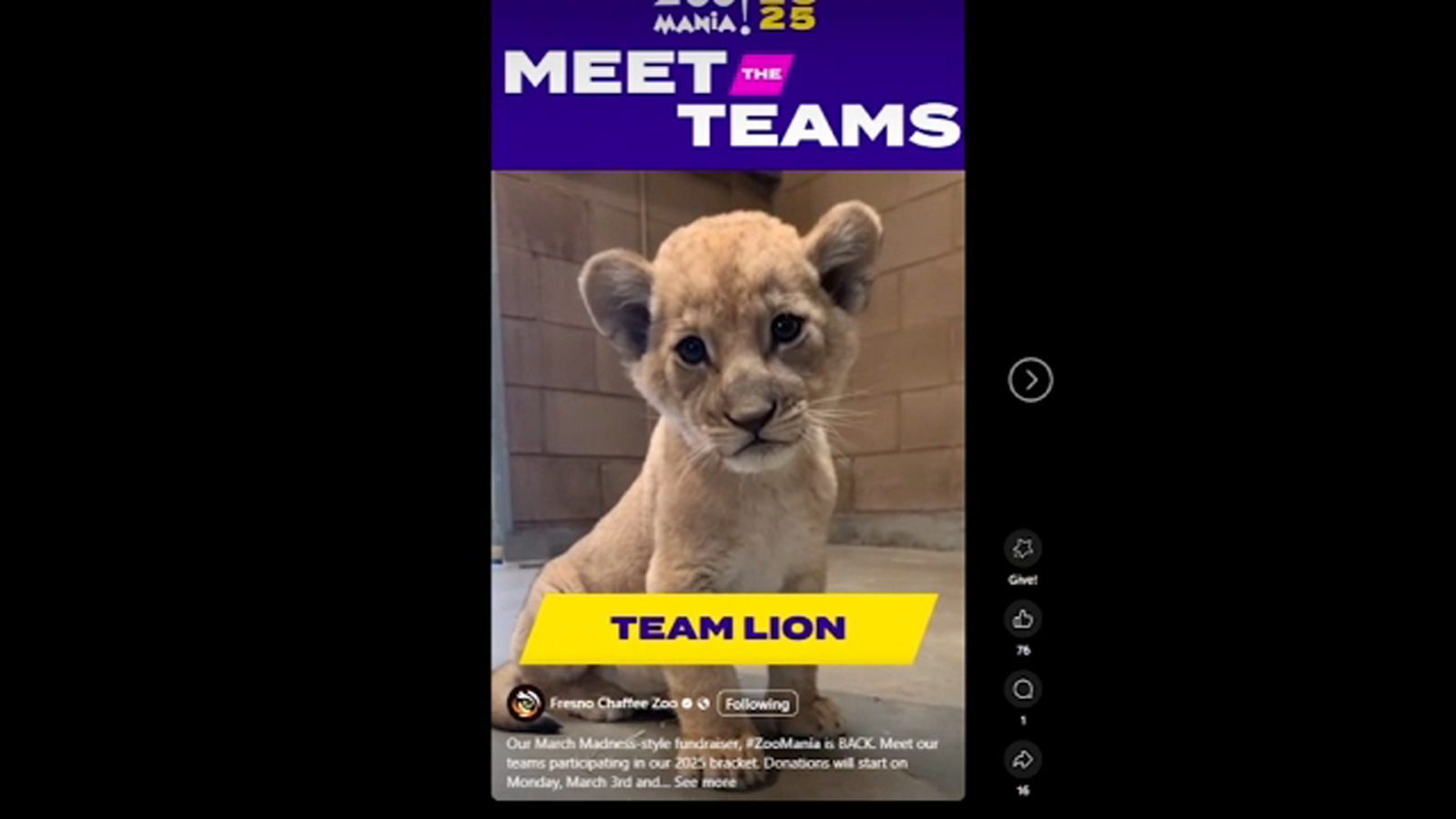 Zoomania returns to the Fresno Chaffee Zoo