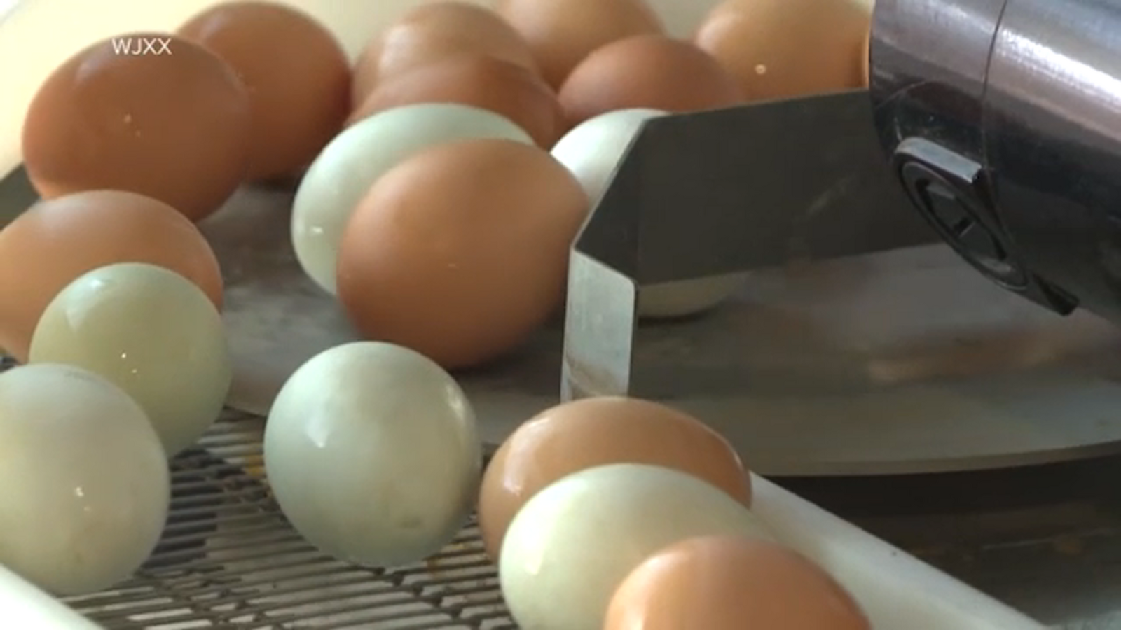 Department of Justice opens investigation into egg producers as prices soar