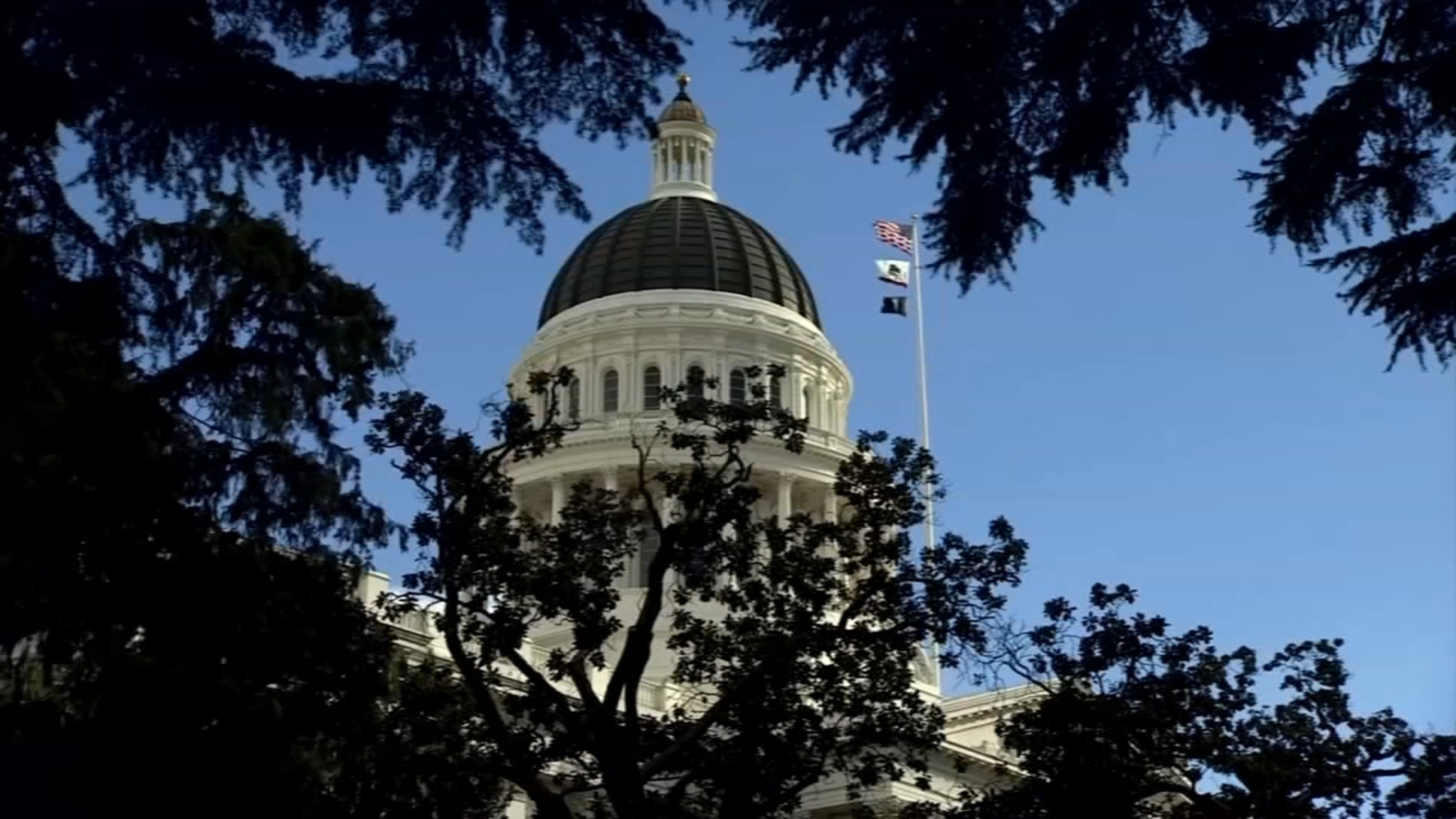 Who's running for CA governor to replace termed-out Gavin Newsom? Here's a look at field - so far