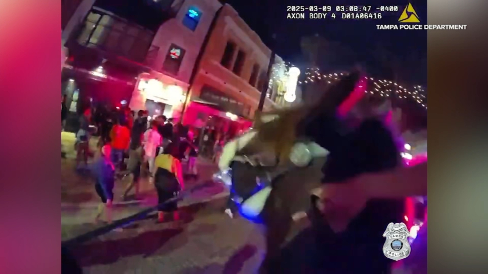 Man arrested after allegedly hitting a police horse in Tampa, Florida ...