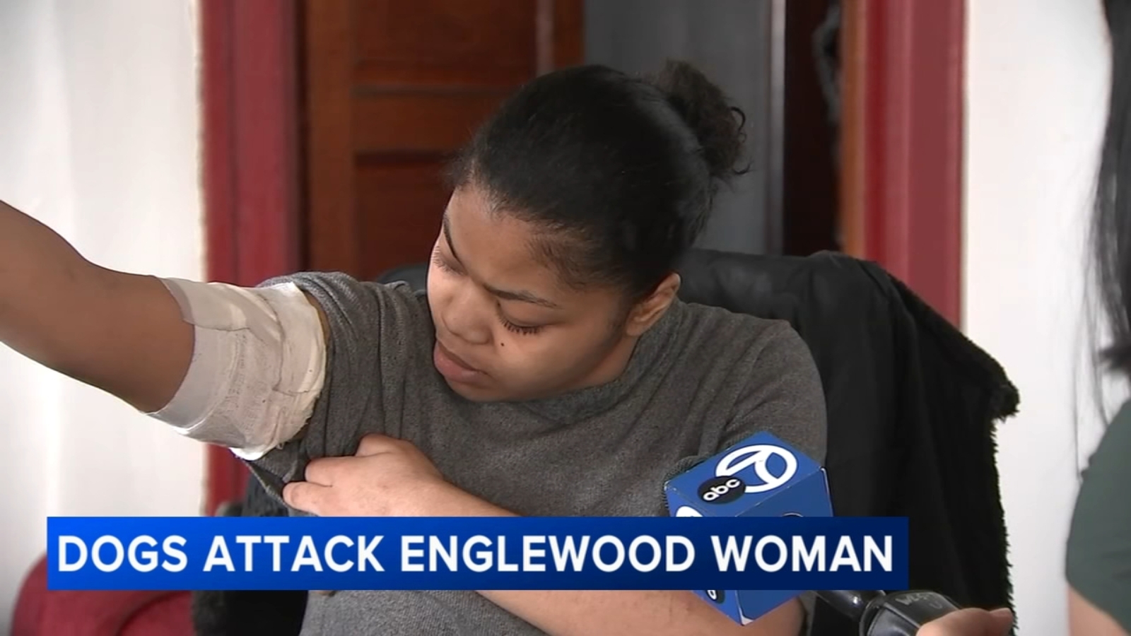 Chicago woman, dog injured after being attacked by pit bulls near West ...