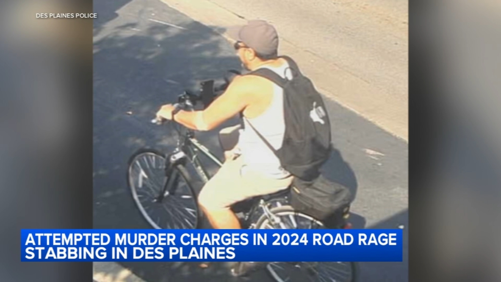 Pablo Sosa, charged in Des Plaines road rage stabbing, was on probation ...