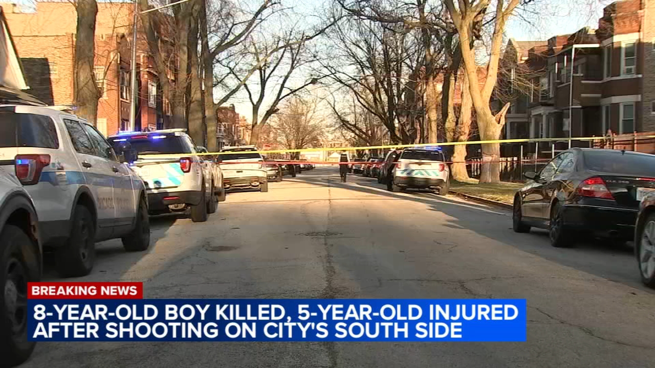 2 boys shot, 1 fatally, on South Side: CPD