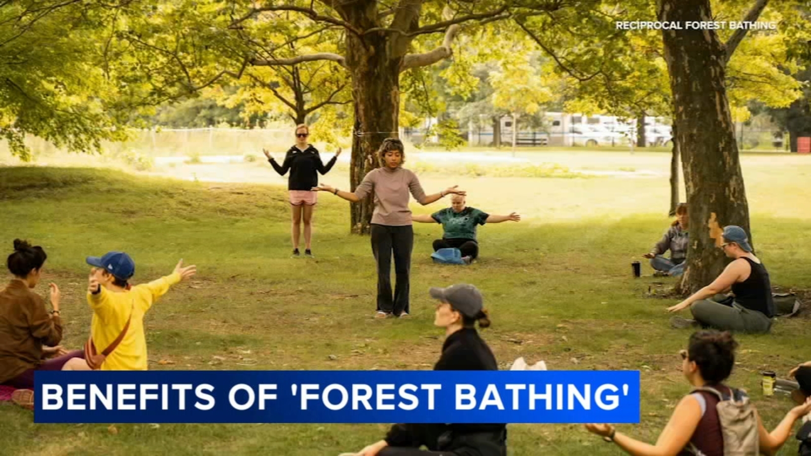 'Forest bathing' can help reduce stress, non-profit Brushwood Center in ...