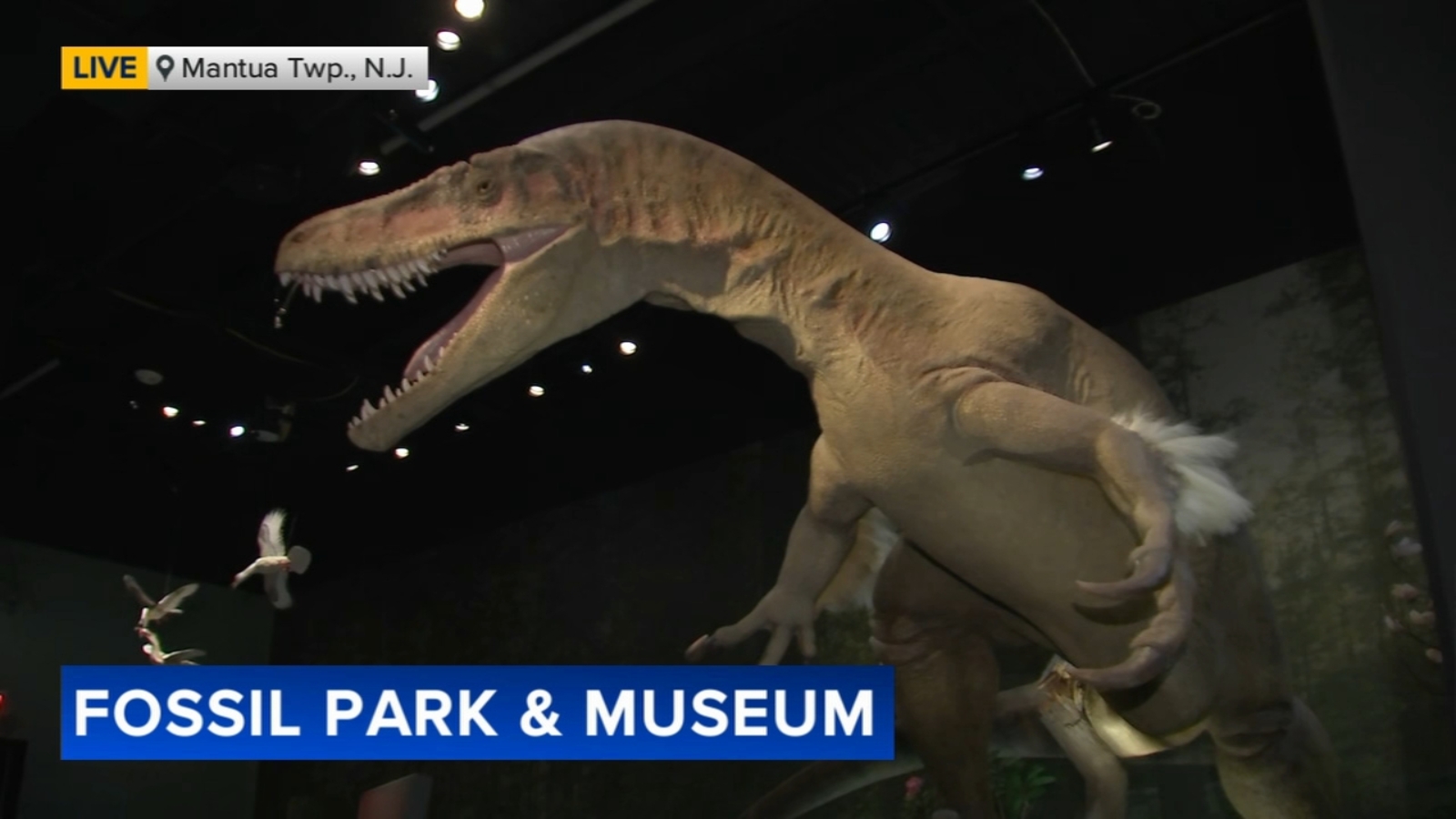 Our Dinosaur Neighbors: Edelman Fossil Park & Museum opens this weekend!