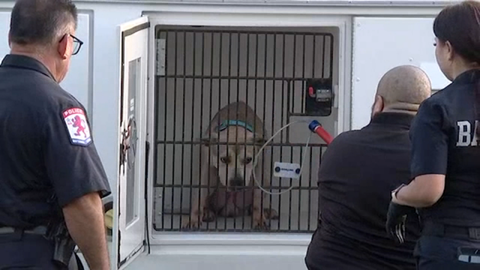 6-month-old baby girl dies after dog attack at The Inverness Gardens ...