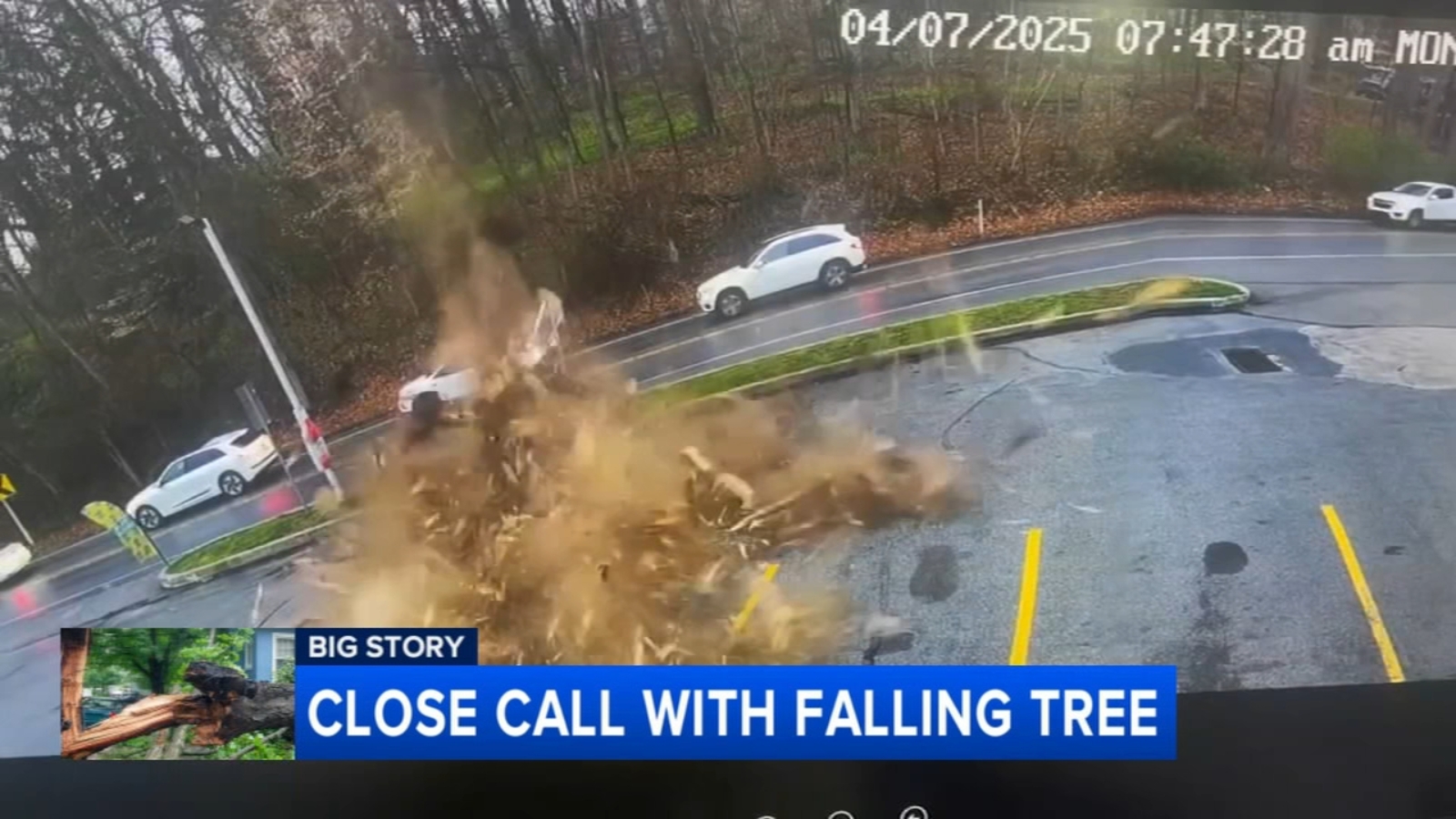 Massive tree falls onto car in Kennett Square; witness recalls ...