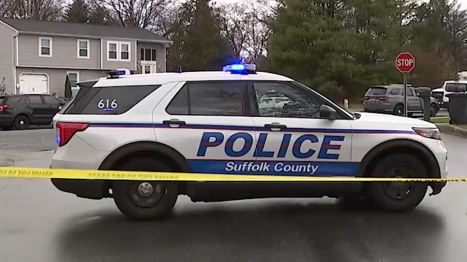 Teenager charged with stabbing his mother and grandmother: police