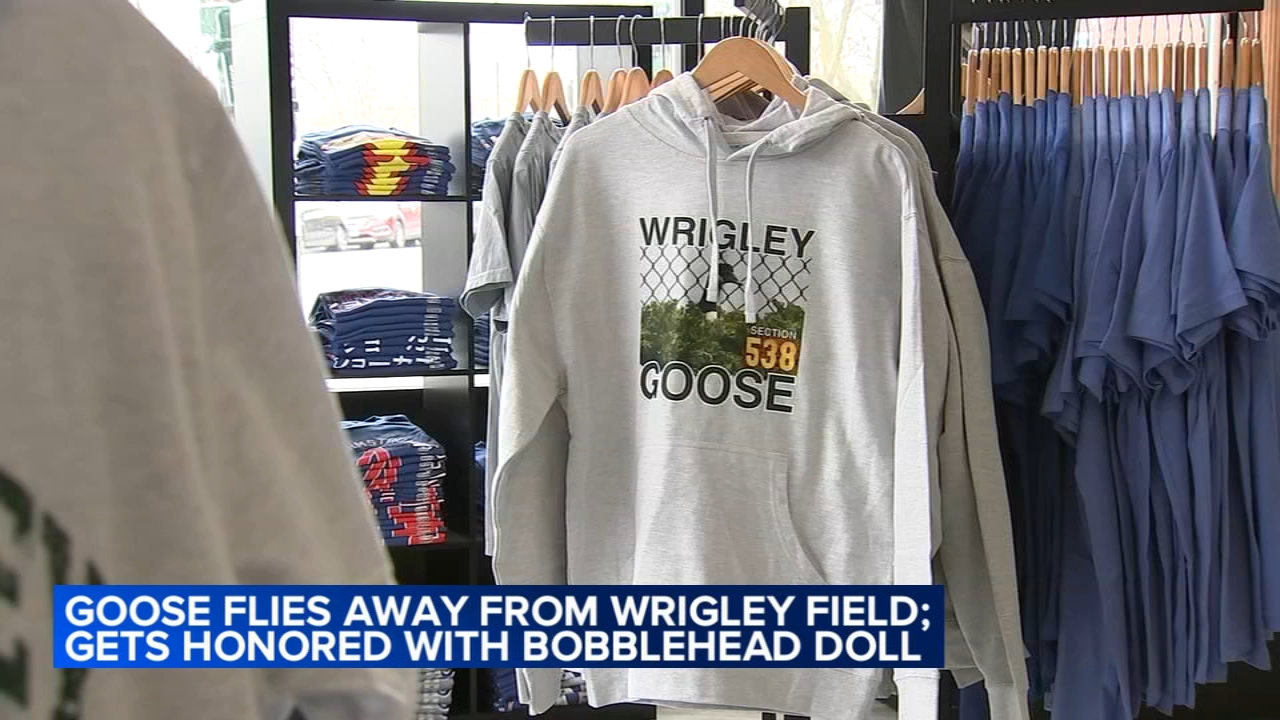 Wrigley Goose joins Cubs' animal lore