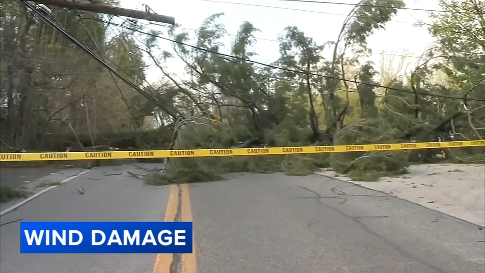 Trees fall, homes damaged after powerful winds in Philadelphia region