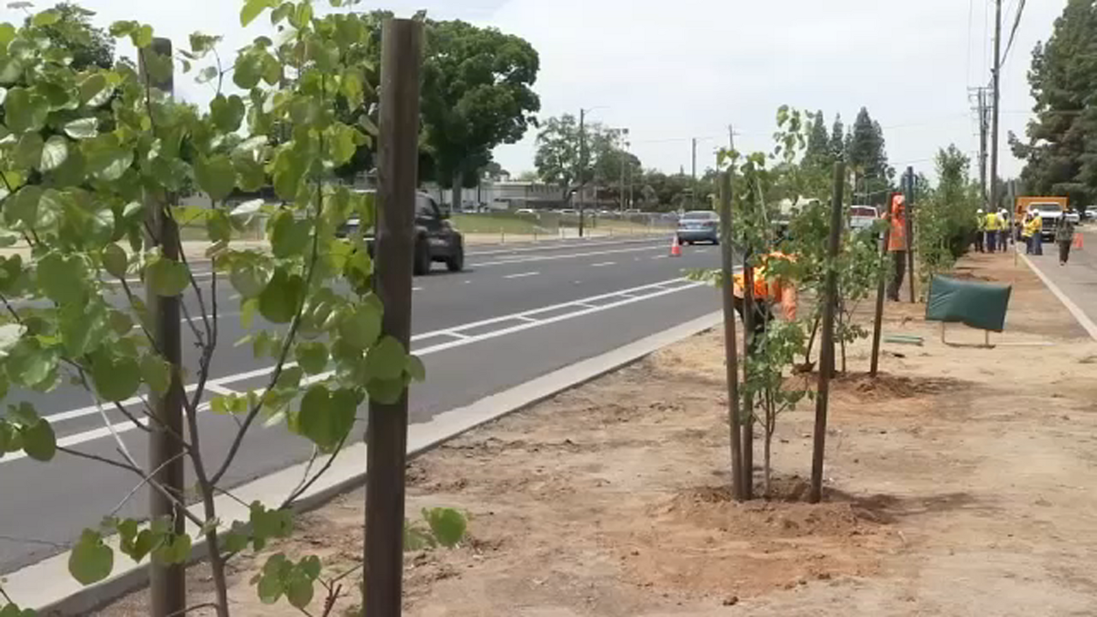 Over 160 new trees planted in Fresno for Earth Day