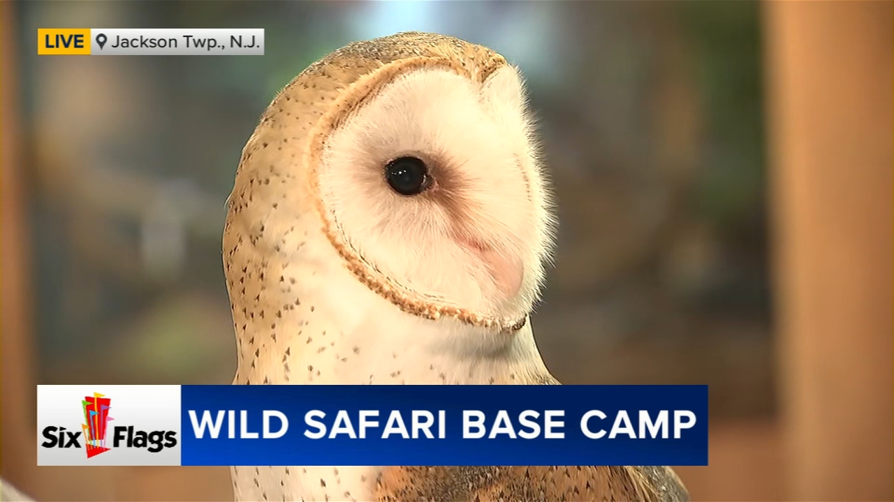 Spring has sprung at Six Flags Wild Safari - 6abc Philadelphia