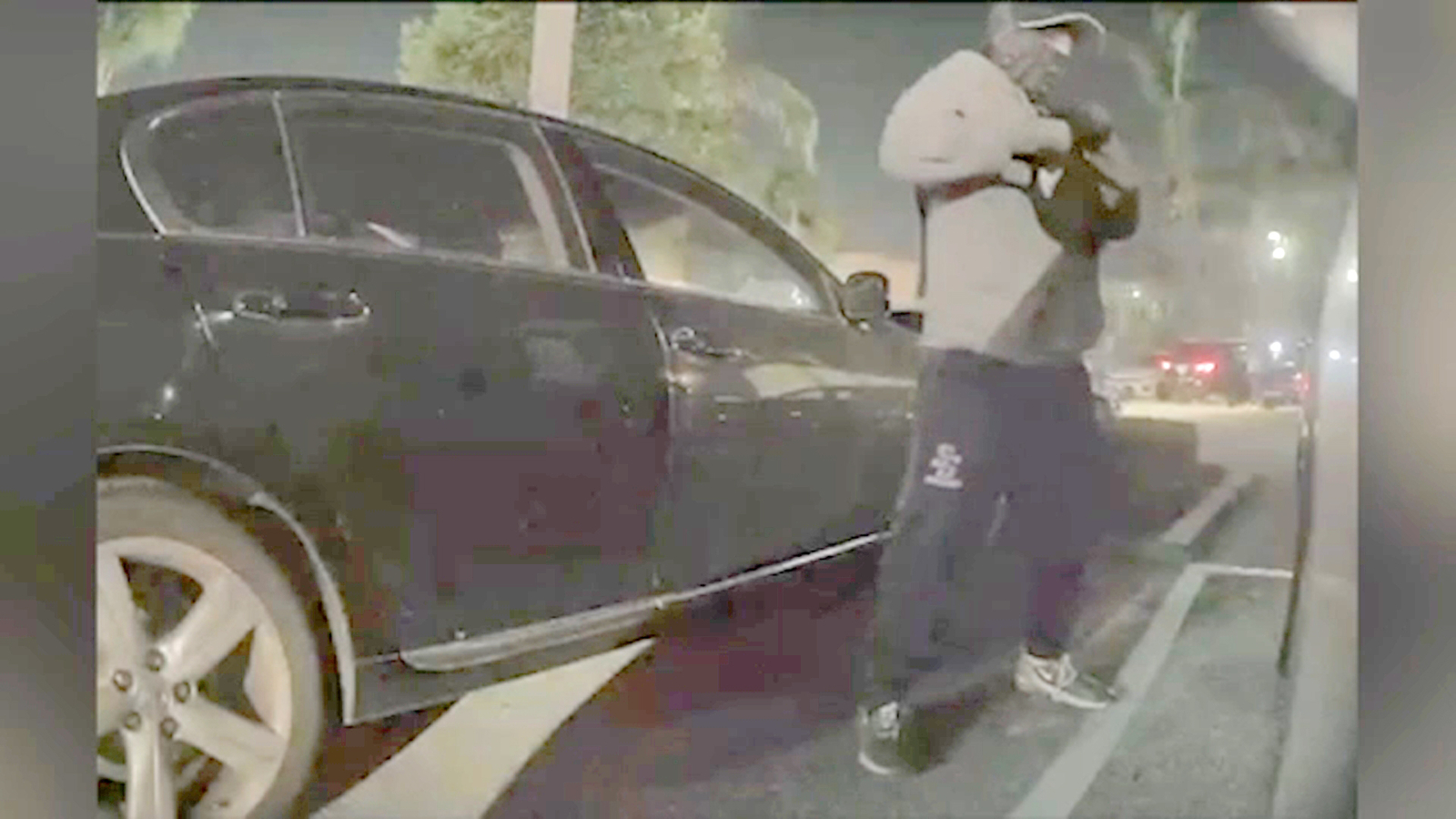 Thief Steals Tesla Dog in City of Industry
