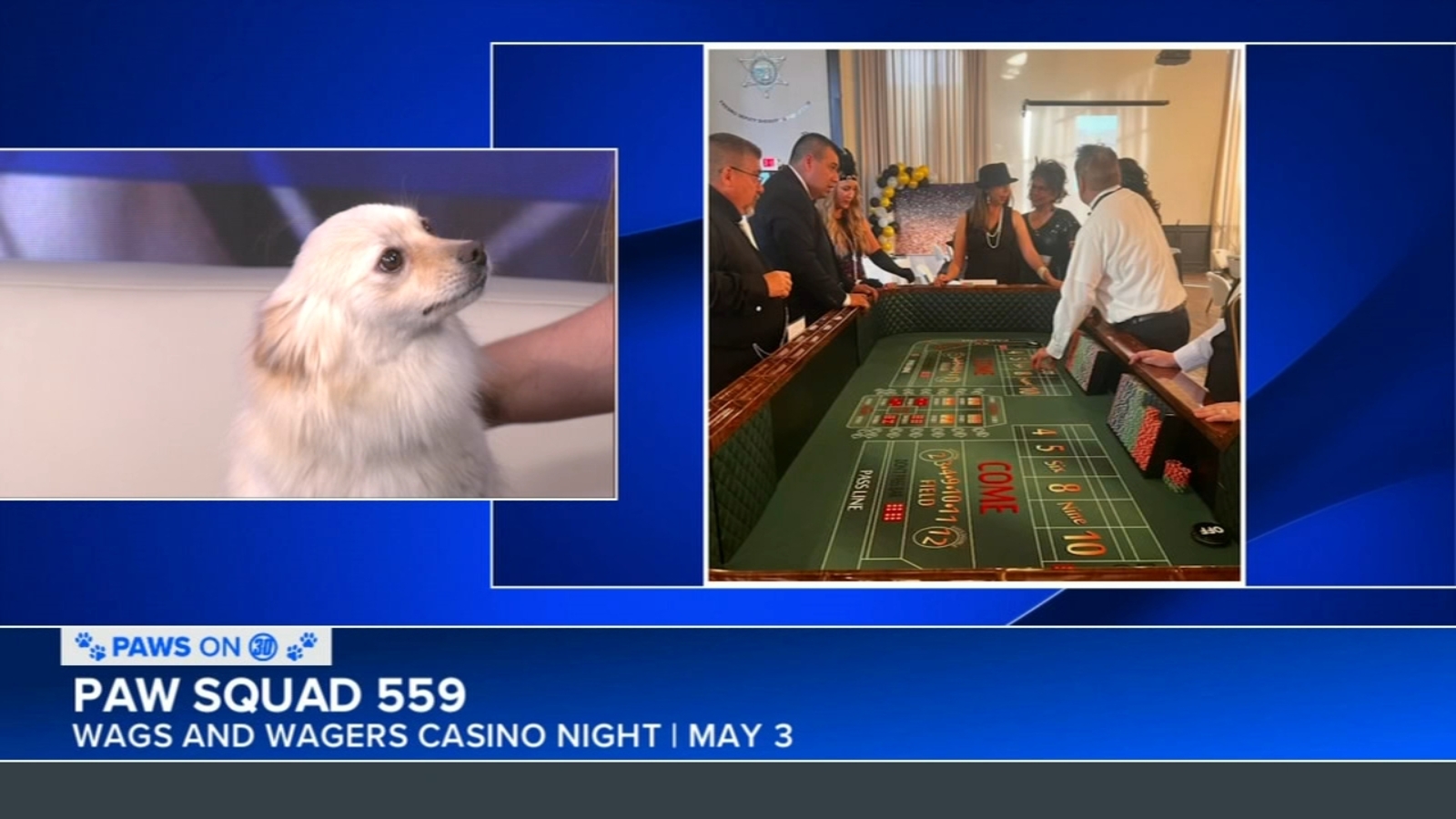 Fundraiser to benefit local foster-based animal rescue organization