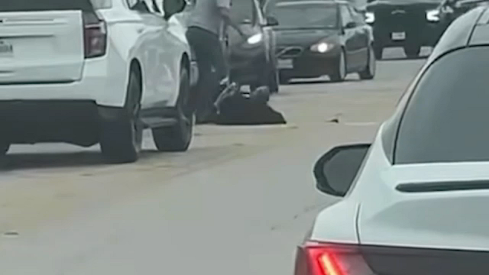Montgomery County sheriff breaks up road rage fight that unfolded in ...