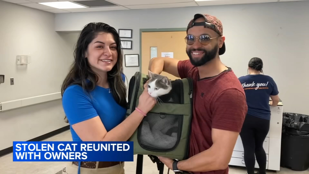 Cat that was stolen in South Philadelphia has been found and reunited with his family