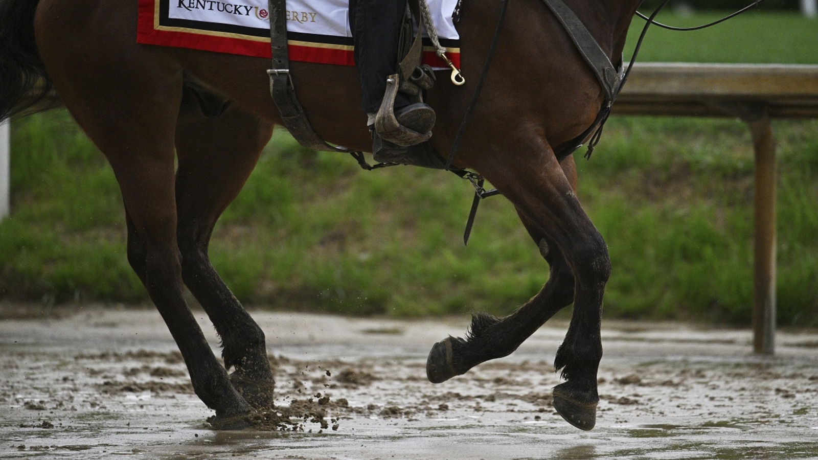 The 151st Kentucky Derby could be a mudder's delight with rain in the forecast