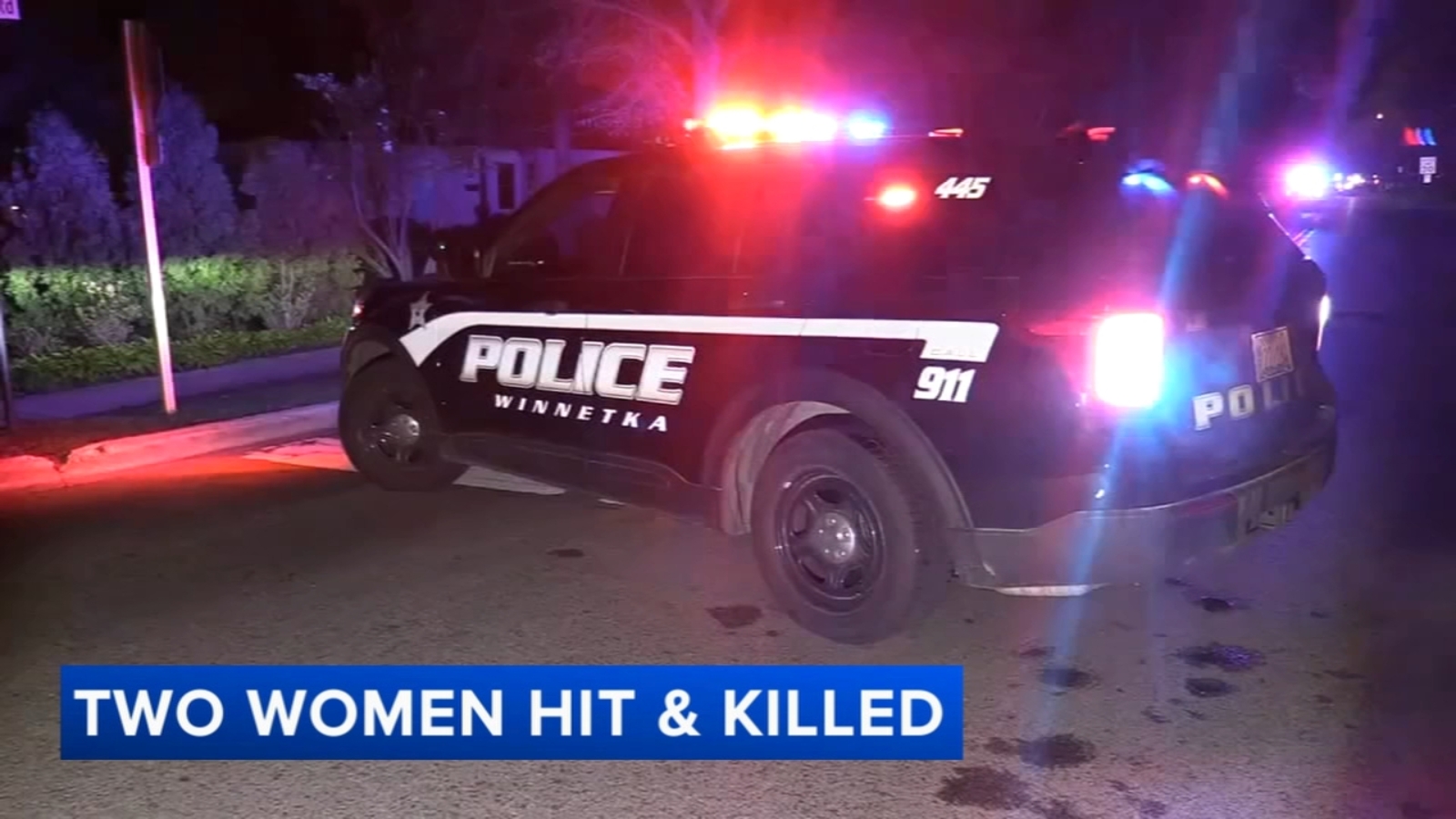 Winnetka crash: Sediqeh Samadi identified as 1 of 2 pedestrians killed ...