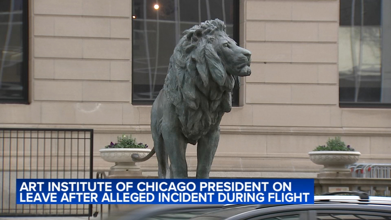 Art Institute of Chicago president reportedly removed clothes on plane