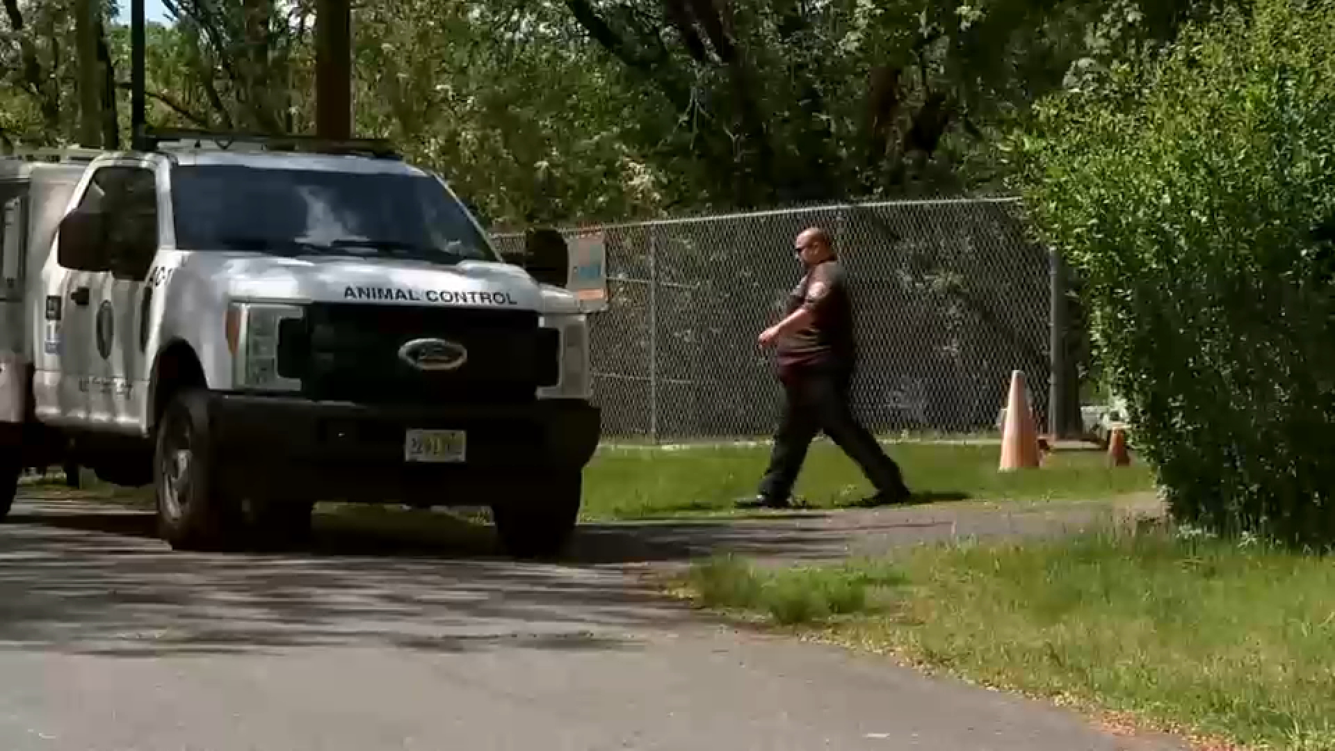 Stray cat that attacked woman in NJ tests positive for rabies; Raises concerns