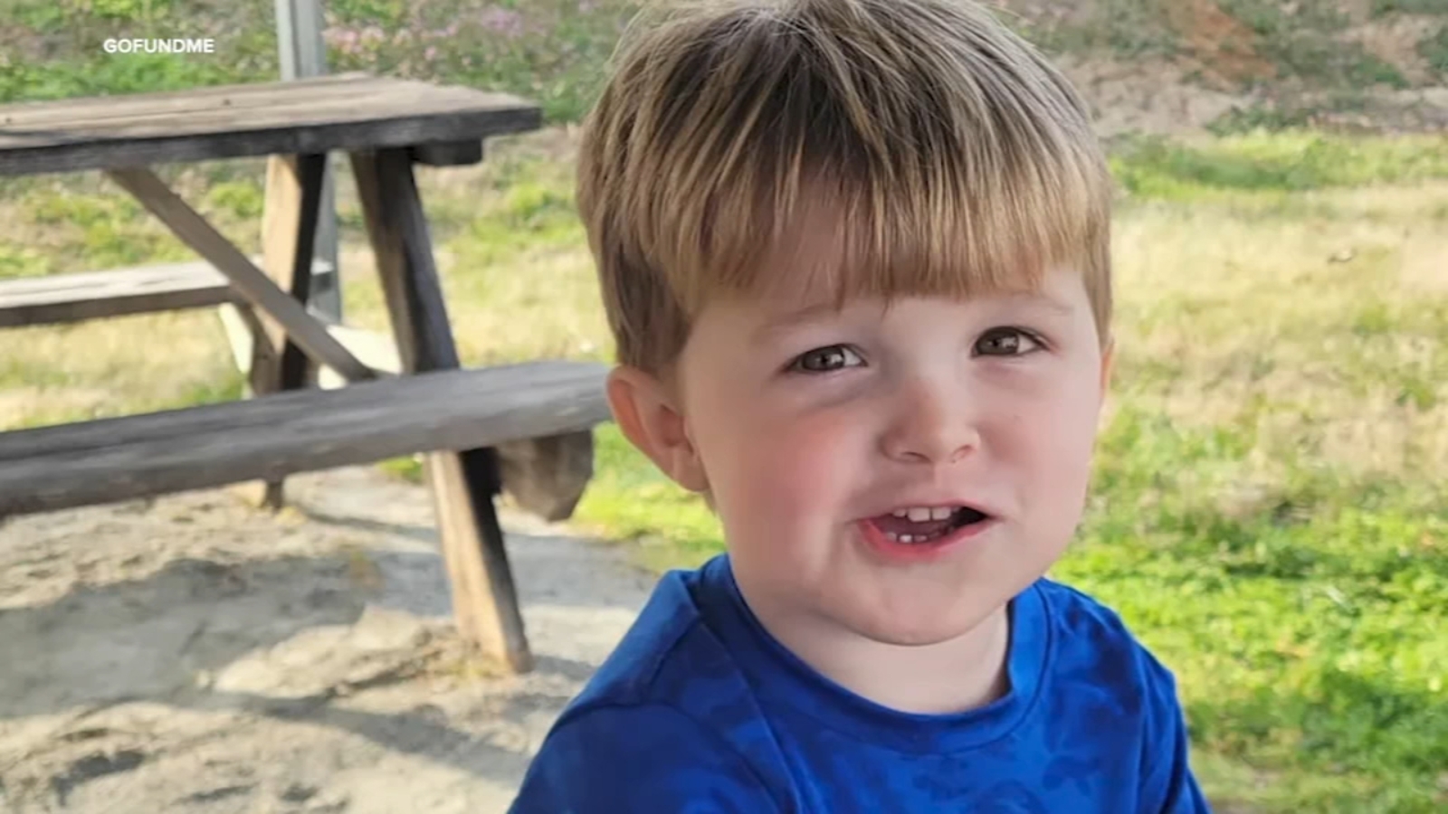 Toddler dead NC | Child dead in accidental shooting inside a vehicle ...