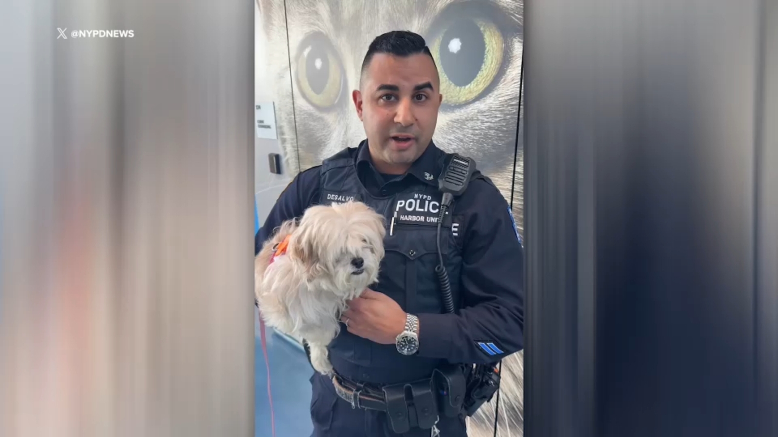 NYPD officer adopts puppy he helped rescue from the East River - ABC7 ...