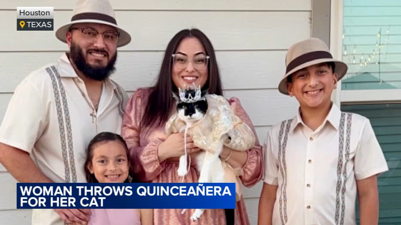 Woman throws quinceañera for her cat