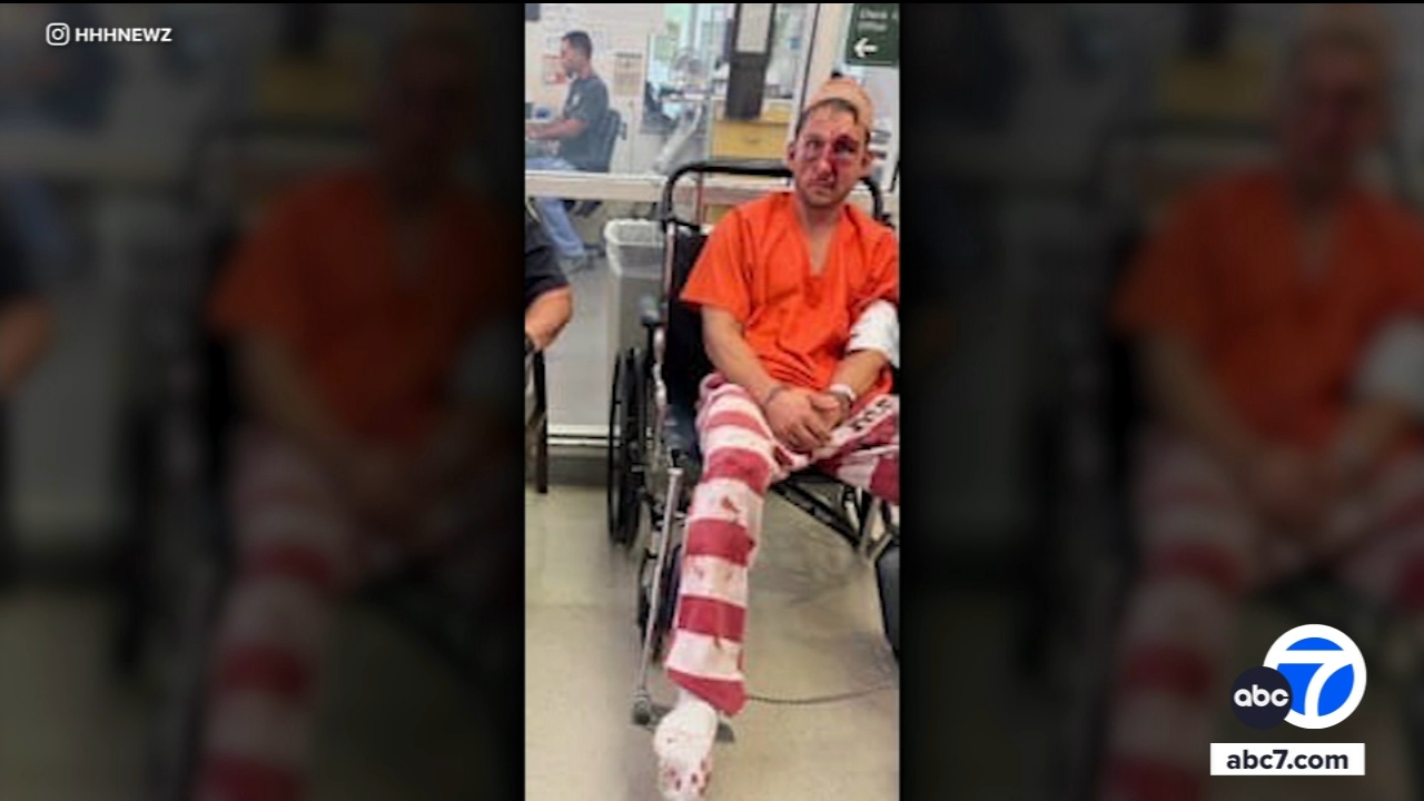 Notorious Tesla driver assaulted in Hawaii after arrest for road rage