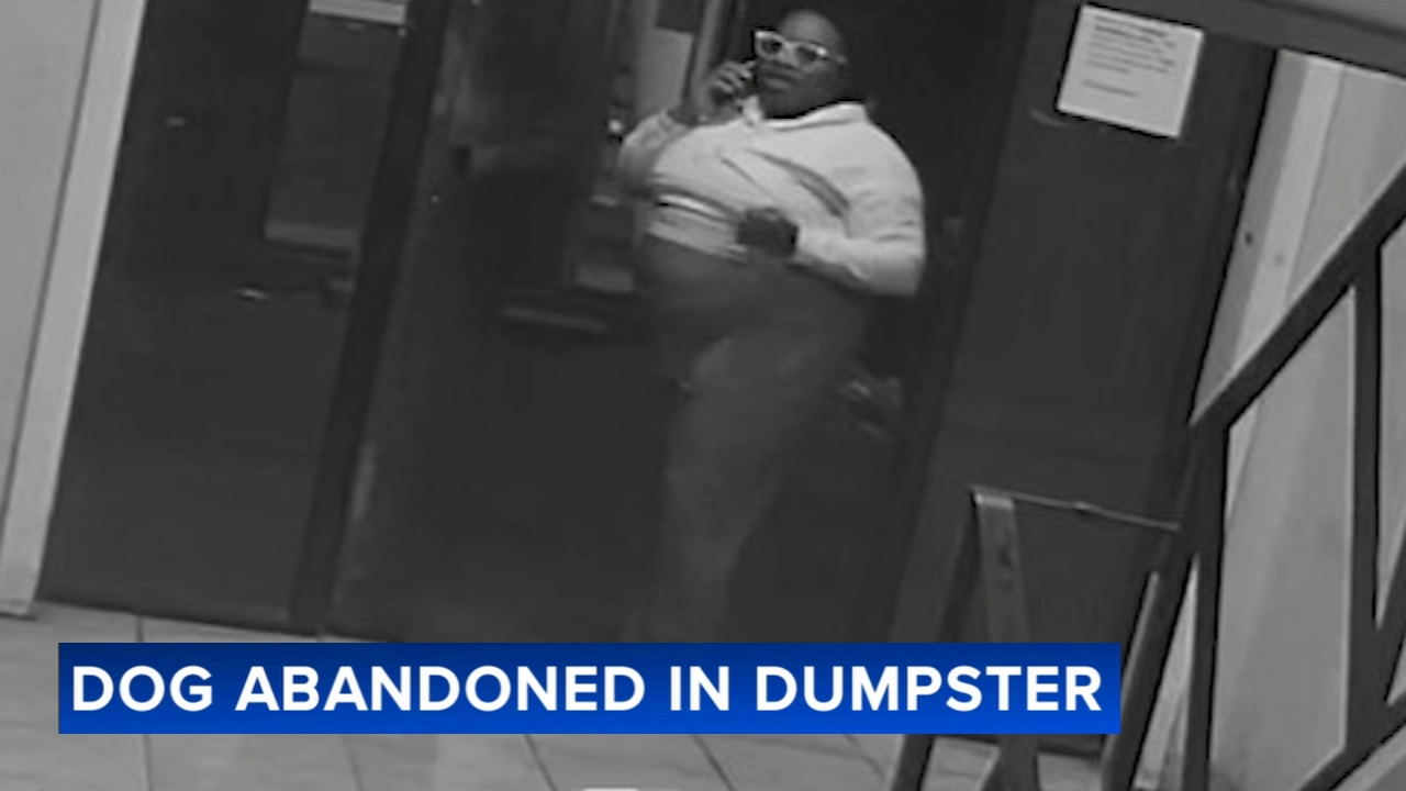 Woman accused of leaving small dog in trash bag inside dumpster at