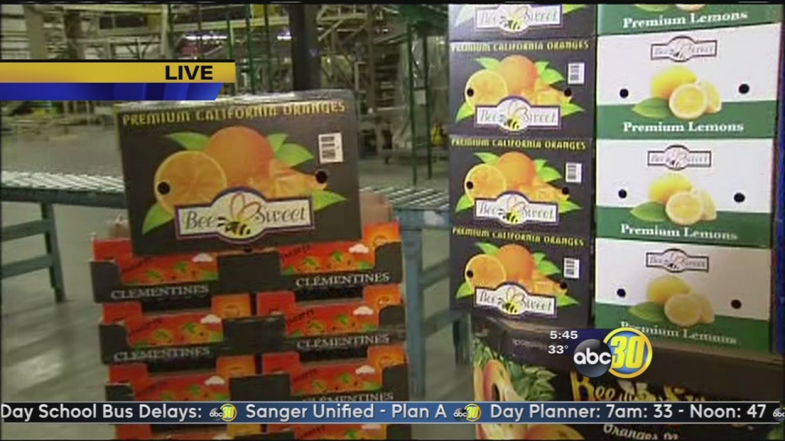 Citrus harvest underway ABC30 Fresno