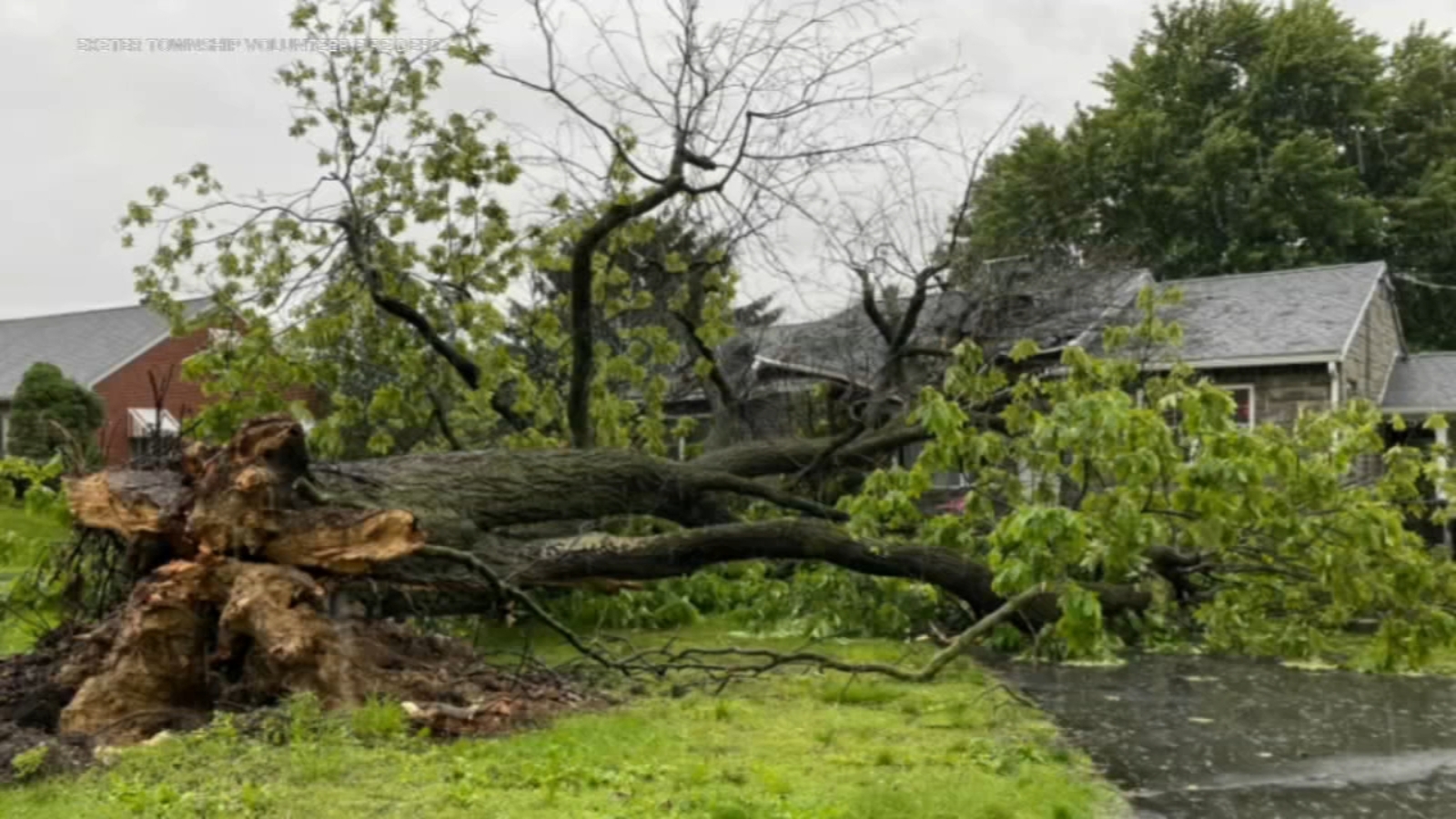 Woman, child injured after tree falls on home in Exeter Twp., Berks ...