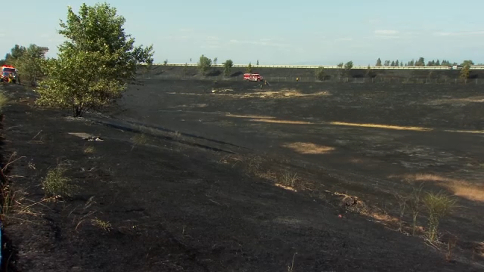 Woman arrested for starting fire along Highway 180 in Fresno County, police say