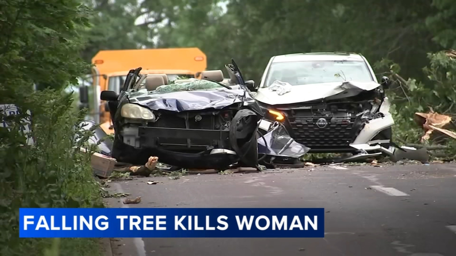 Woman killed, another hurt after tree falls on vehicles in Wynnewood ...