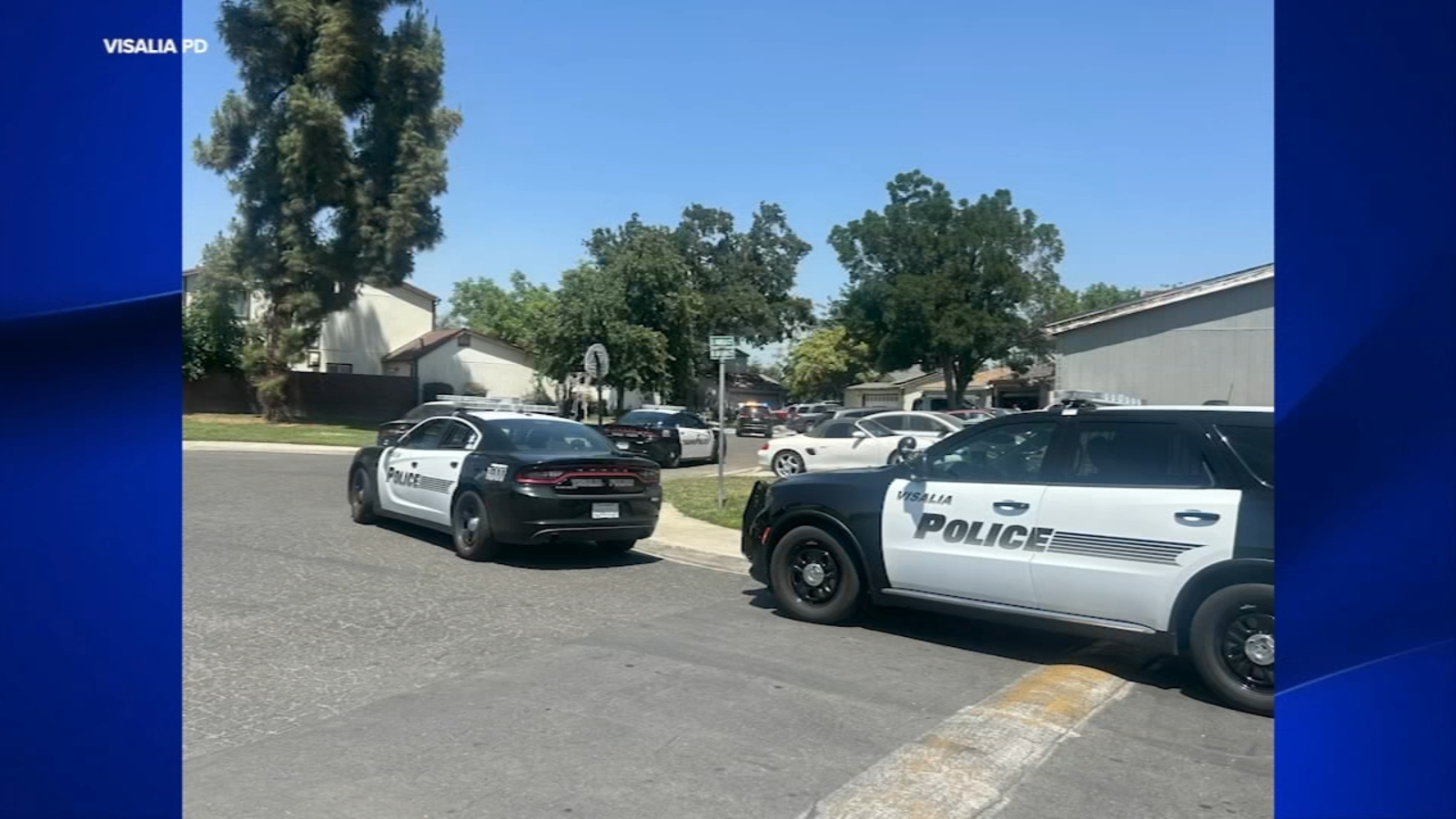 Visalia man arrested for shooting and killing neighbors dogs