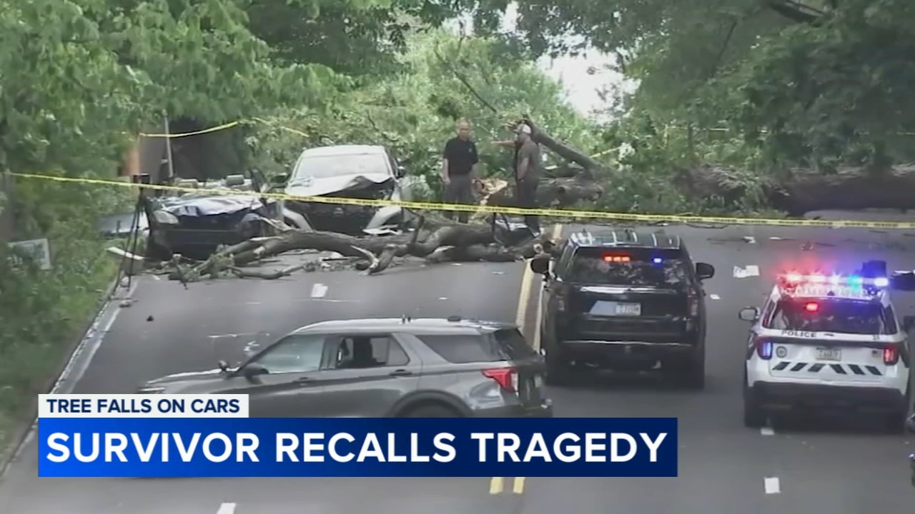 Survivor recounts traumatic experience after tree falls, kills woman