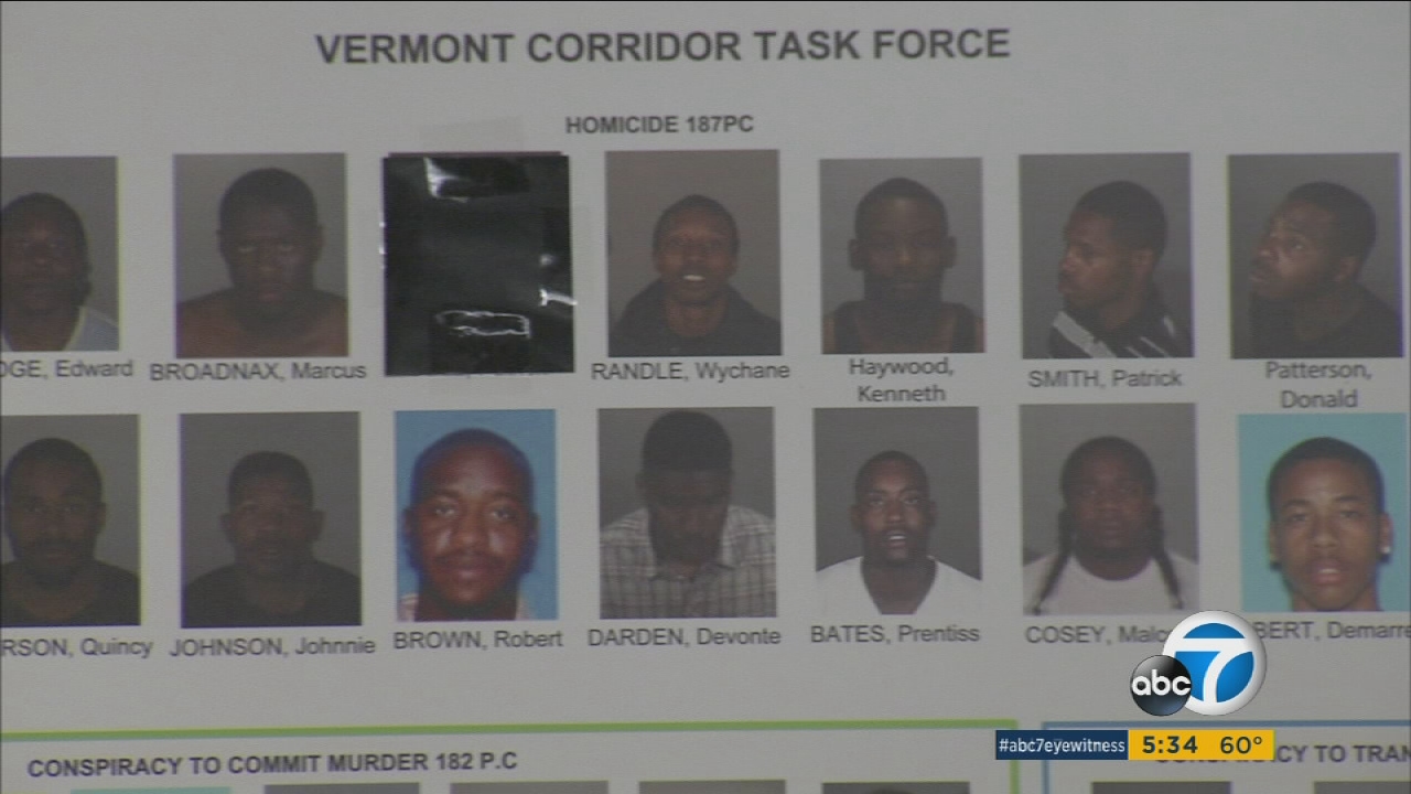 Police Arrest Members of Notorious Gang Involved in Online Crimes