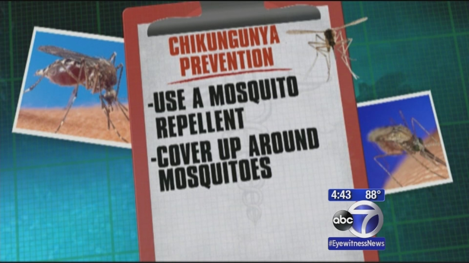 Experts Warn Chikungunya Virus Threat What The Who Wants You To Know - g9gez10