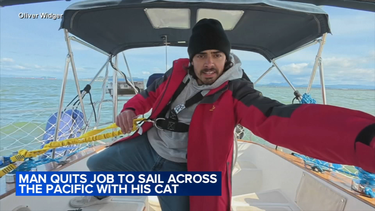Oregon man who quit his job to set sail with his cat arrives to cheering fans in Hawaii