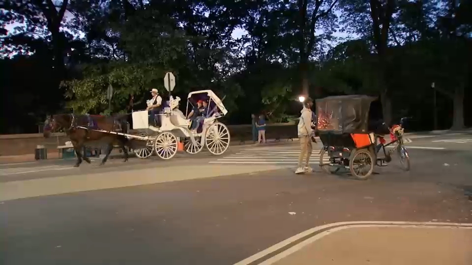 Collision between two horse-drawn carriages in Central Park sends two to the hospital