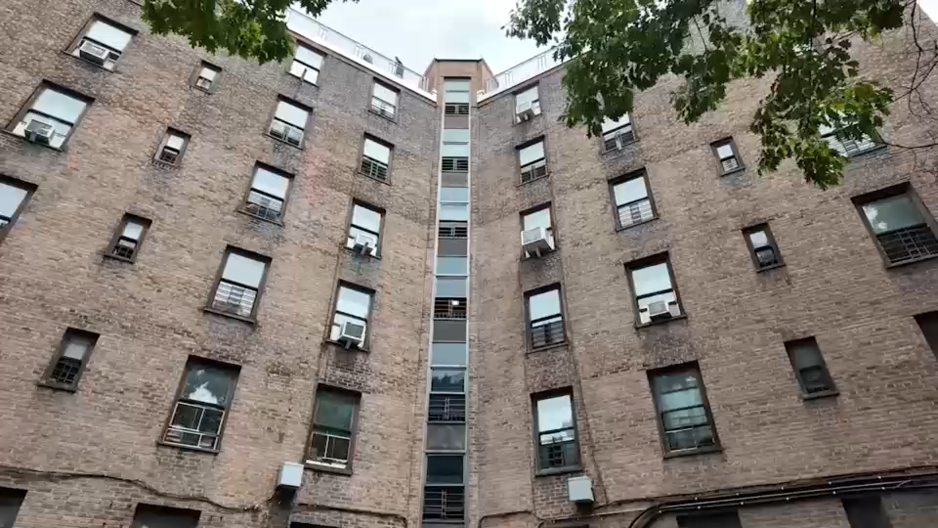 German Shepherd kills 1-month-old baby girl in Queens