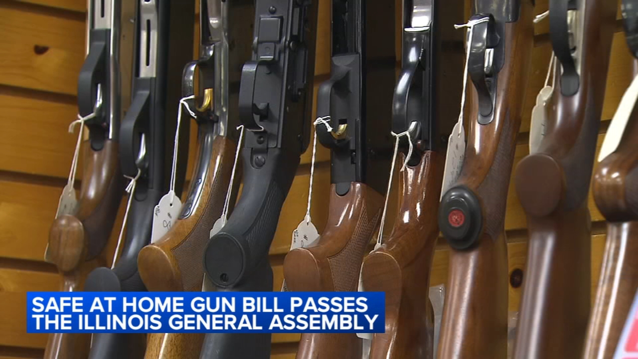 Illinois state lawmakers pass 'safe at home' gun bill