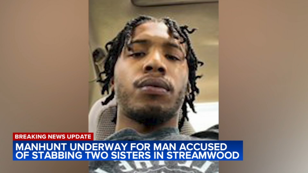 Police search for suspect after his sisters killed in suburb: friends