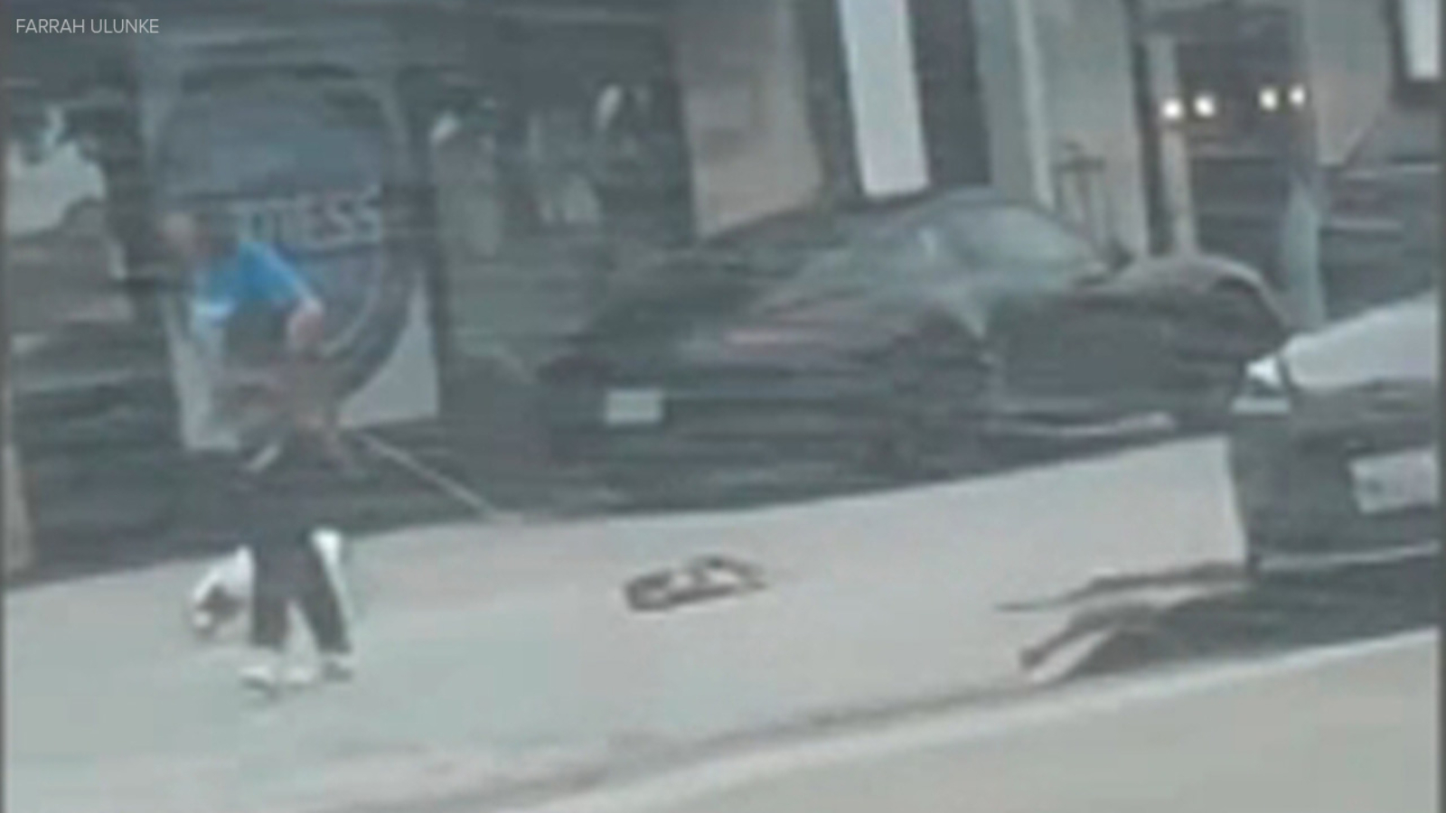 Video shows animal rescue worker in Costa Mesa dragging dog by its ...