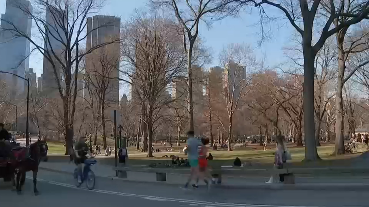 New partnership works to make Central Park safer, cleaner, and more vibrant for visitors