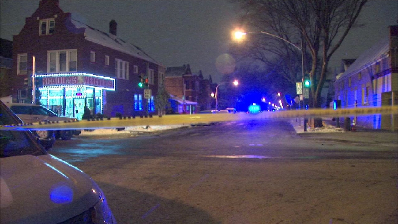 4 shot, 2 dead in Brighton Park ABC7 Chicago