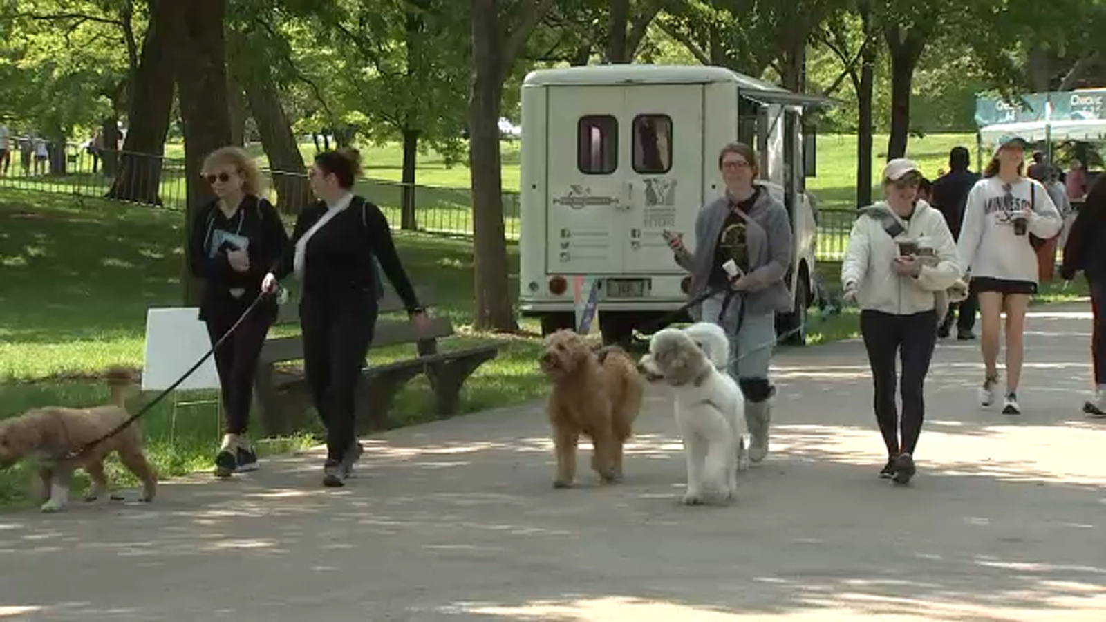 Anti-Cruelty Society’s BARK 2025, Chicago’s biggest and best dog party, comes to Lincoln Park for 31st year of event