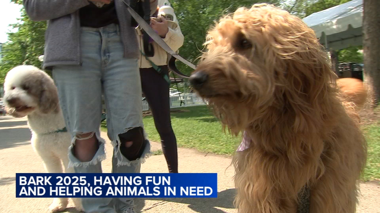 Anti-Cruelty's BARK brings annual dog party to North Side