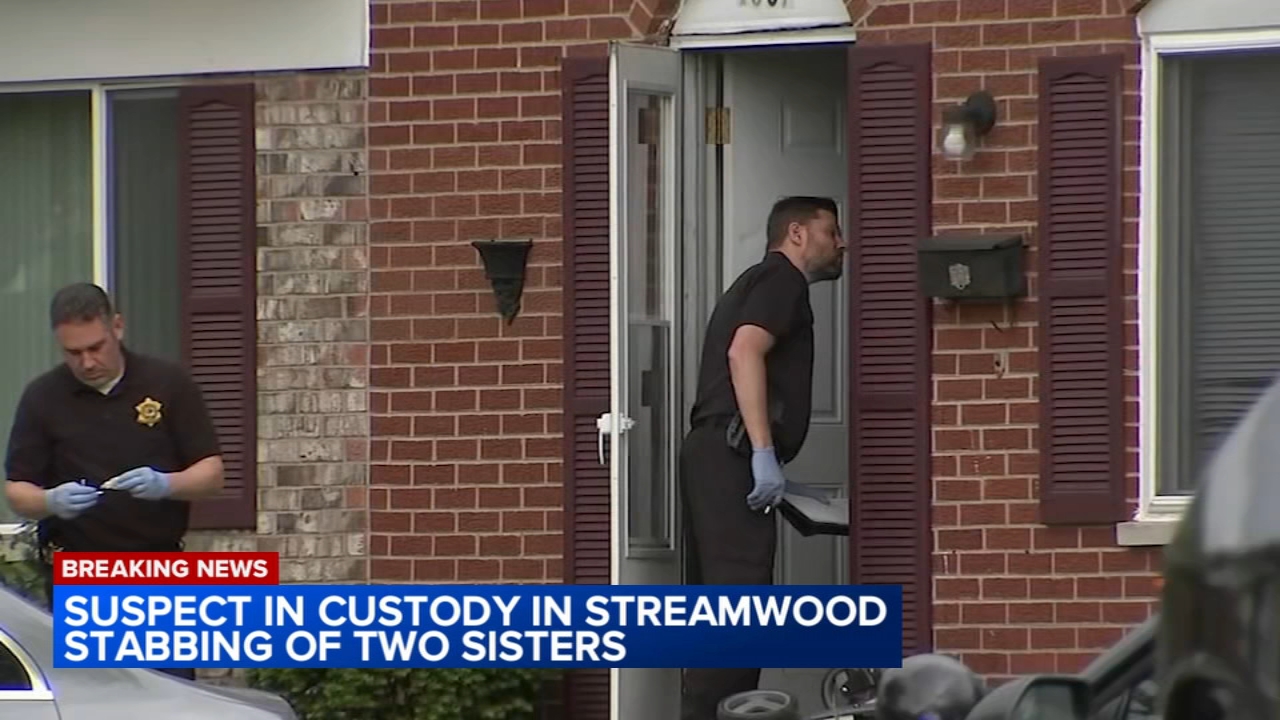 
Suspect in stabbing death of sisters in Streamwood in custody